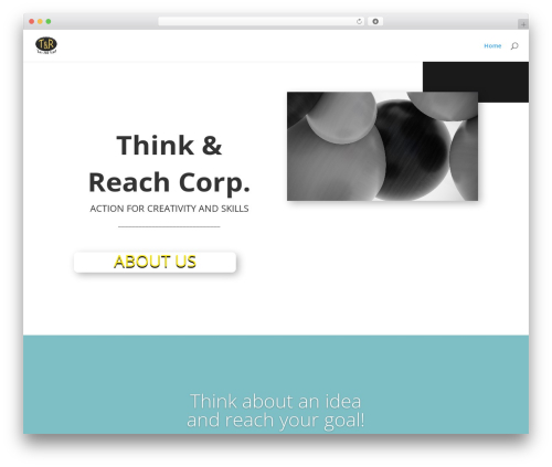 Theme WordPress Divi - thinkandreach.com