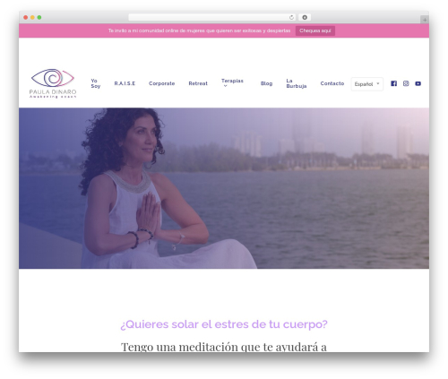 Elfsight contact form cc WordPress plugin - pauladinaro.com