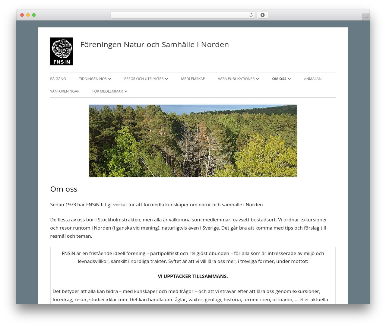Tiny Framework WordPress theme download - fnsin.nu