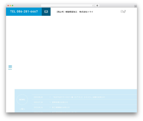 WordPress theme try2 - try-global.net