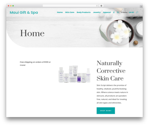 Mci options WordPress plugin - mauigiftandspa.com