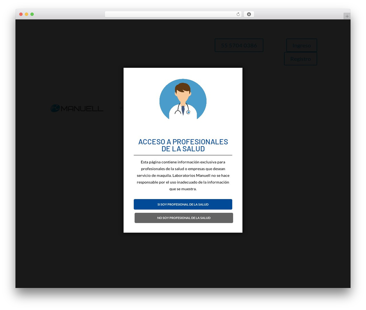 Divi WordPress theme - manuell.com