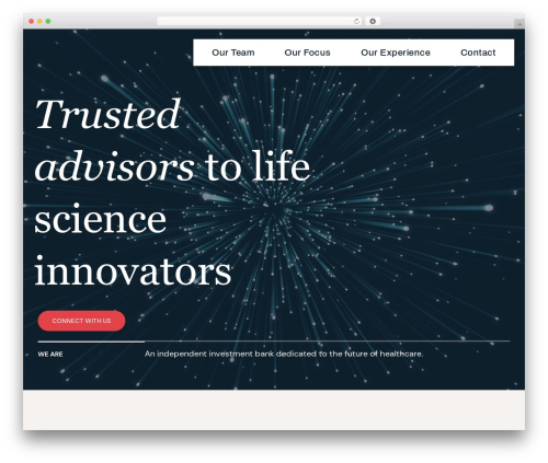Elementor addon elements WordPress plugin - aquilopartners.com