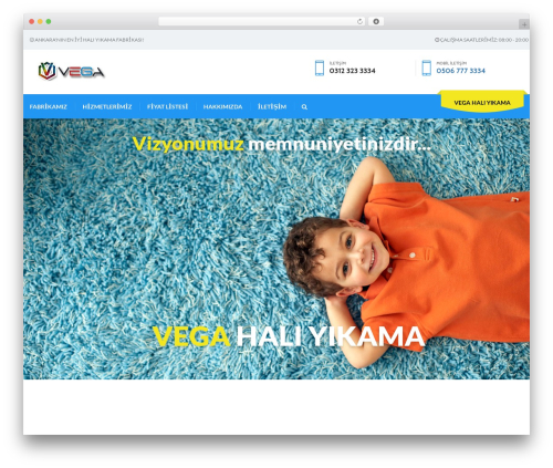 Call now and chat buttons WordPress plugin - vegahaliyikama.com