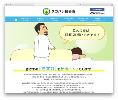 Custom article WordPress plugin - hayoiku.com