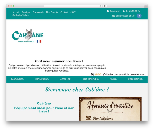 Best WordPress theme cab-ane - cab-ane.fr