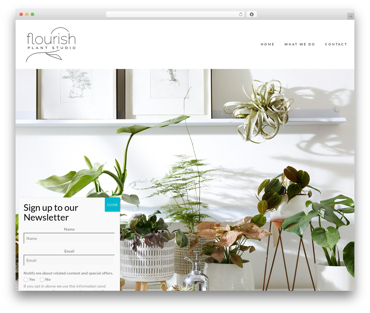 Mango WordPress theme - flourishplantstudio.com Mango WordPress theme - flourishplantstudio.com