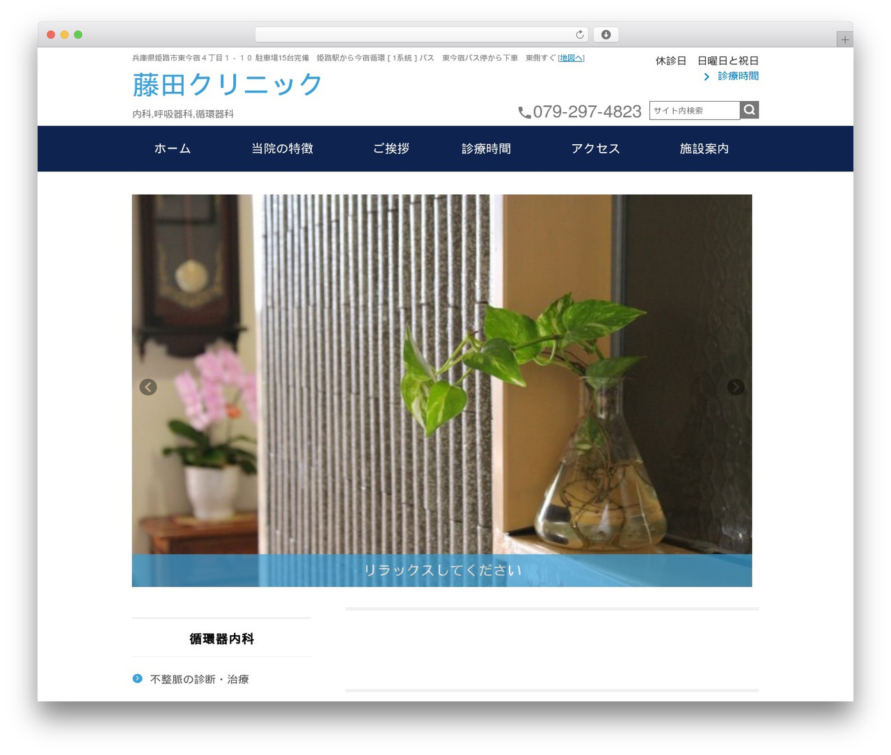 theme best WordPress theme - fujita-nakacli.com