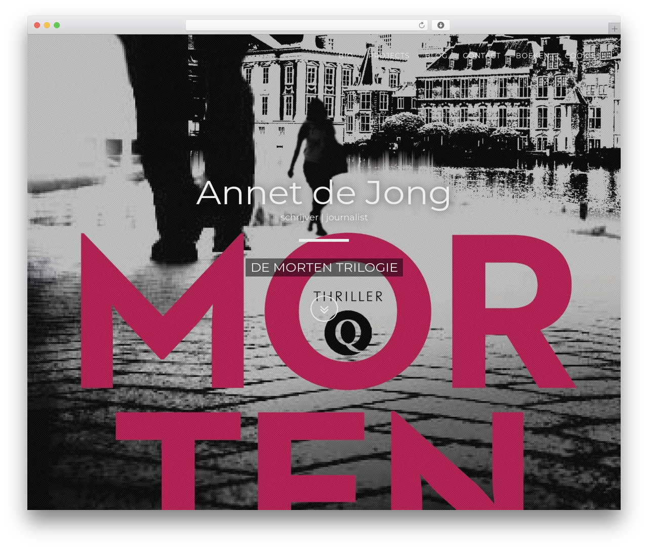WordPress theme Cake CMS - annetdejong.com WordPress theme Cake CMS - annetdejong.com