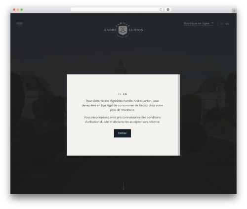 Basics WordPress page theme - andrelurton.com
