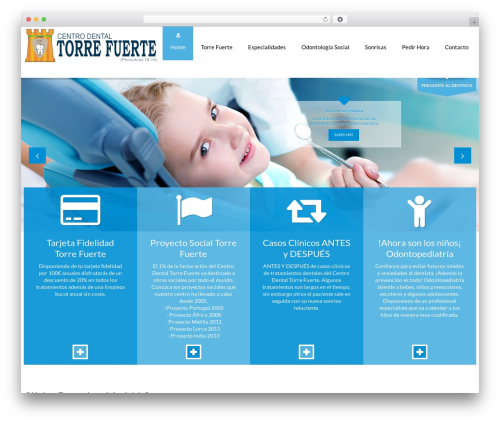 Clinico WordPress theme - torrefuerte.es