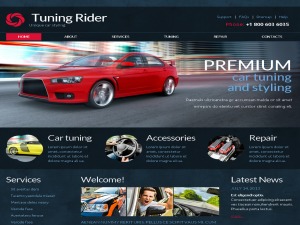 dev-theme WordPress theme