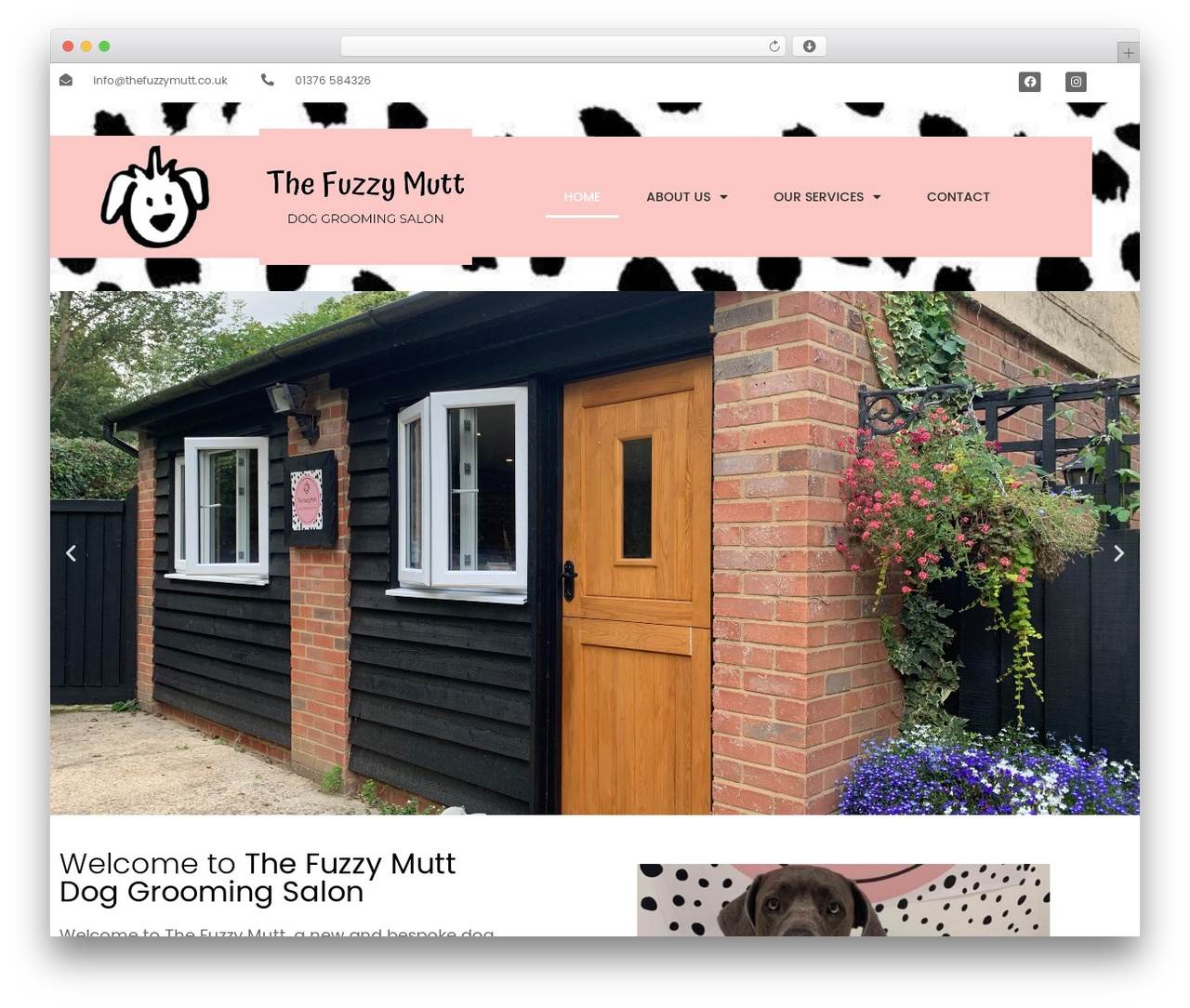Hello Elementor best WordPress theme - thefuzzymutt.co.uk Hello Elementor best WordPress theme - thefuzzymutt.co.uk