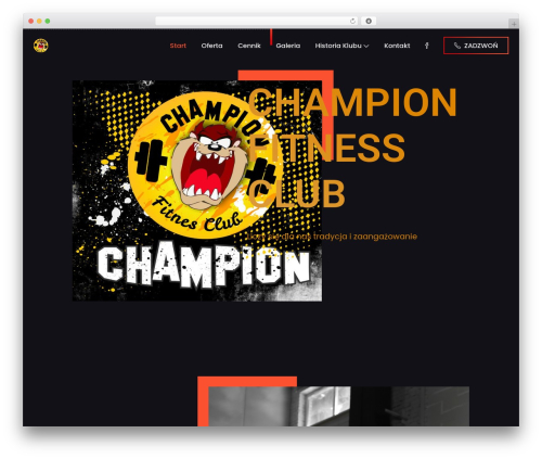 Leverage WordPress website theme - champion.kalisz.pl