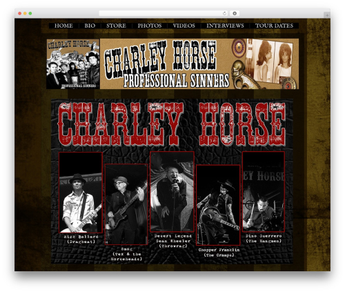 Modularity Lite WordPress theme - charleyhorse.monster