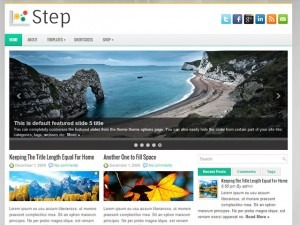 Step WordPress blog theme by Mirco D?sterh?ft