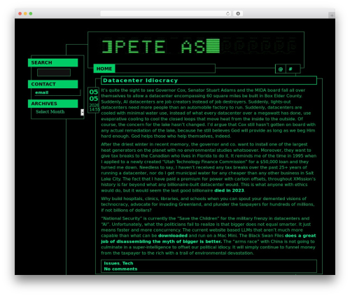 terminal premium WordPress theme - pashdown.com