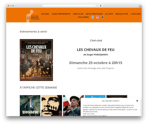Theme WordPress Divi - cinema-le-pestel.fr