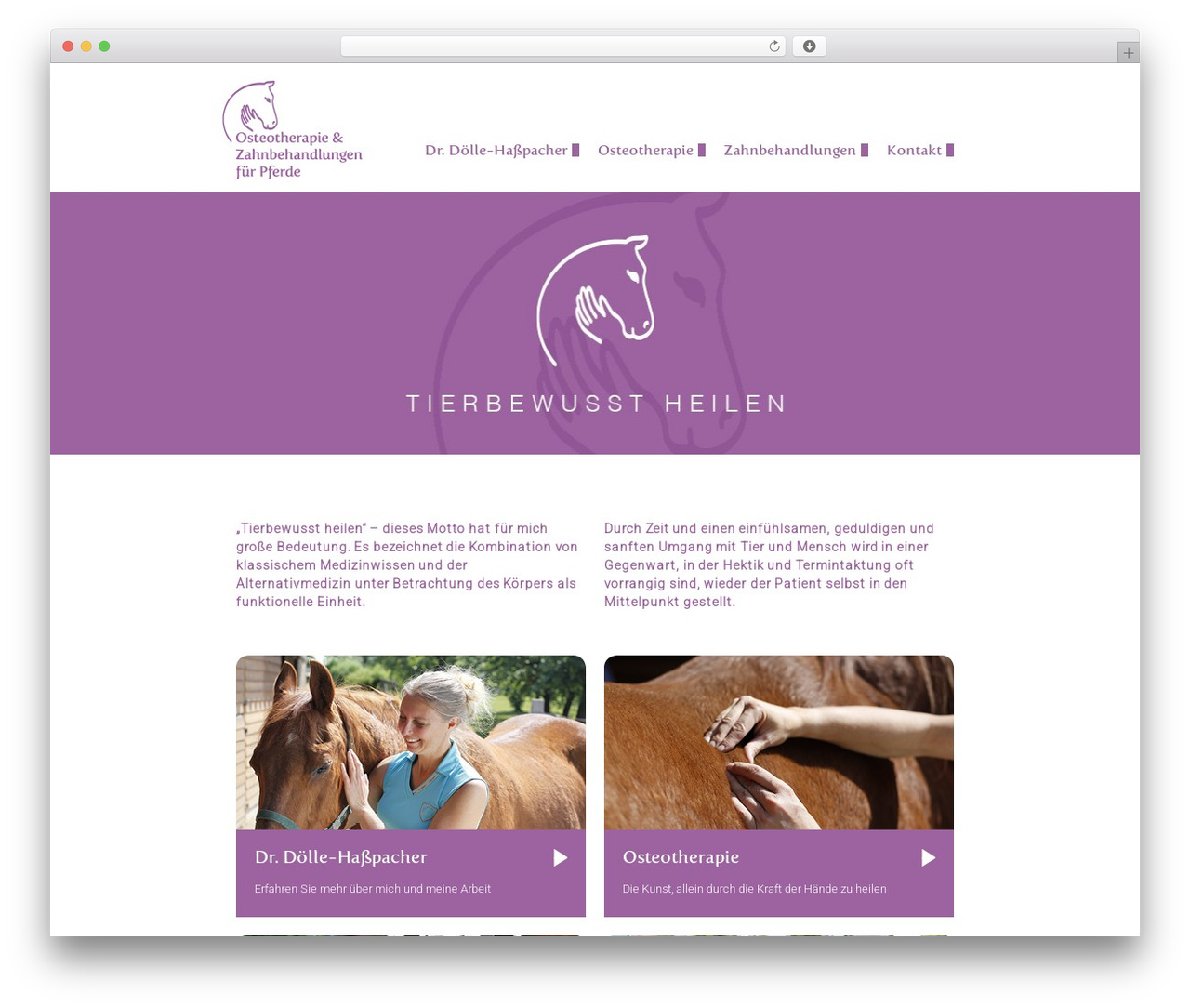 Theme WordPress SAVANDO - tierbewusst-heilen.de Theme WordPress SAVANDO - tierbewusst-heilen.de