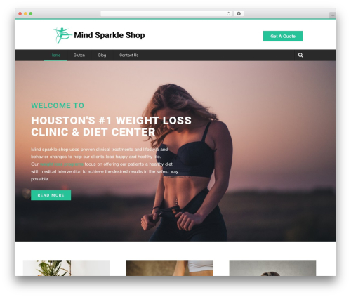 Titanium WordPress theme - mindsparkleshop.com