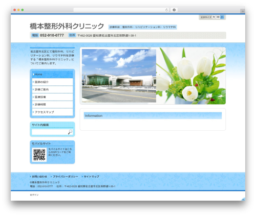 v6-lt16 WordPress theme - trauma-hashimoto.com