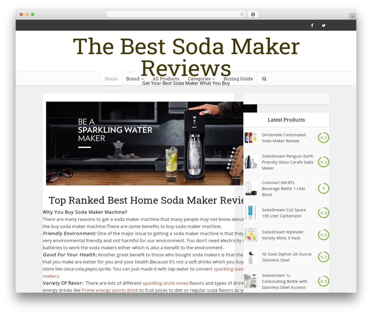 Voice WordPress theme - thesodamaker.com