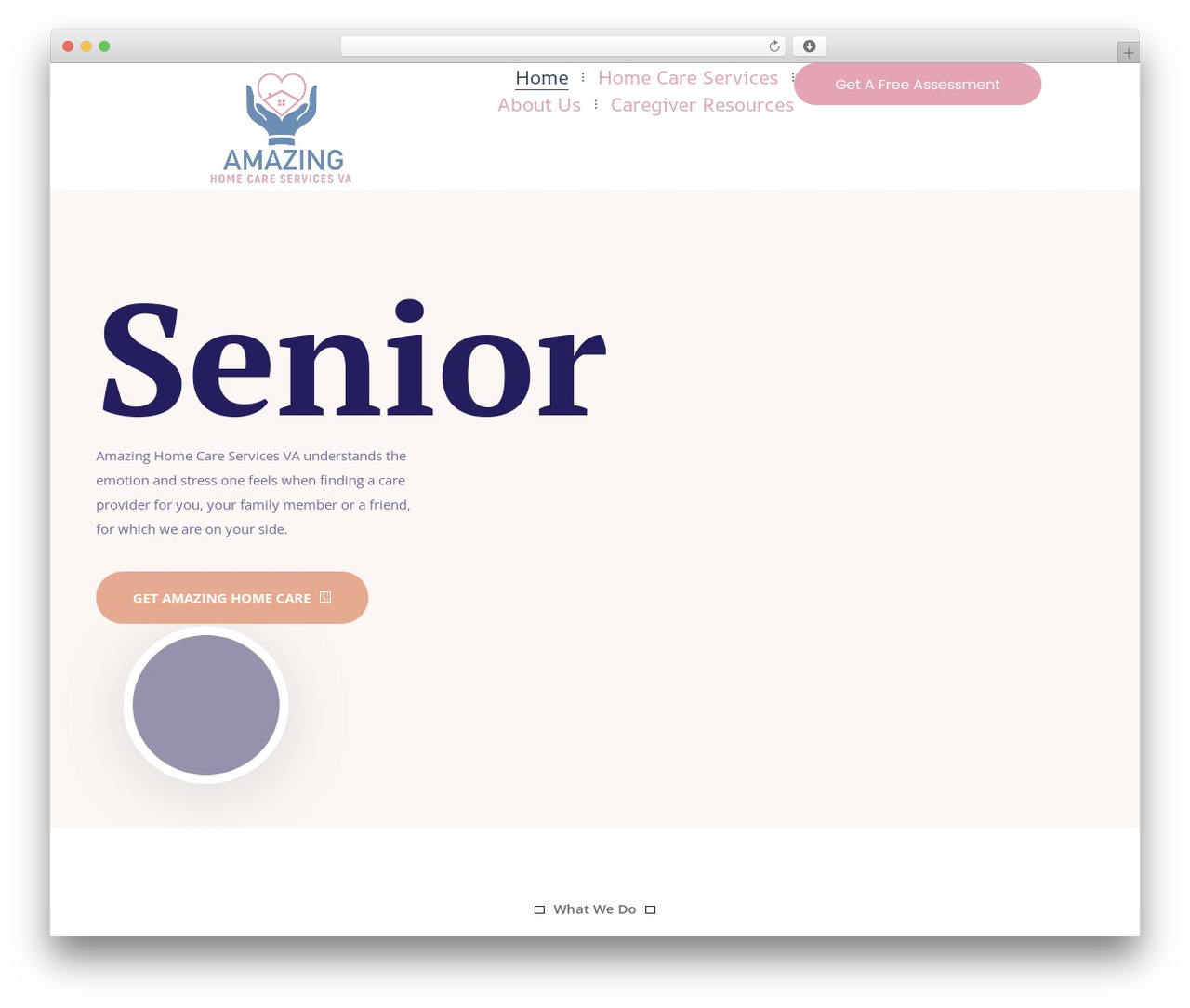 WordPress theme Pairgiver - amazinghomecareservicesva.com
