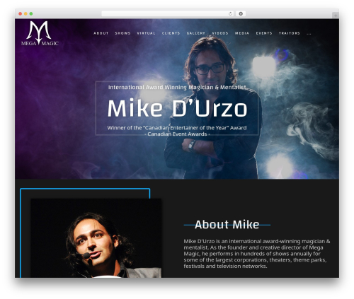 Flicker WordPress theme - megamagicproductions.com
