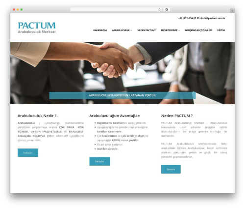DPC WordPress theme - pactum.com.tr