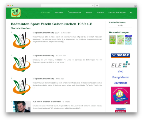 Sport WordPress theme - bsv-ge.de