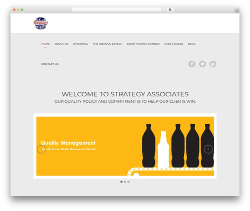 WordPress theme Deploy - strategyassociates.cc