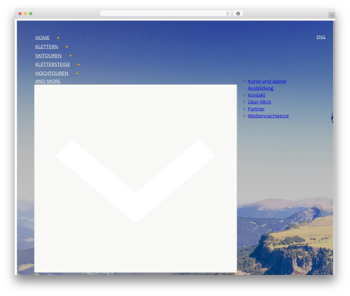 Bricks WordPress theme - tomzelger.com
