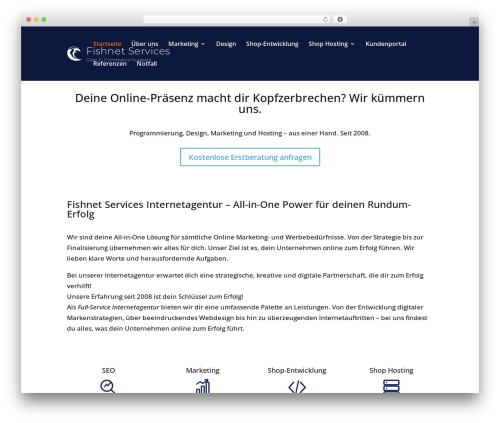 Divi best WooCommerce theme - fishnet-services.com