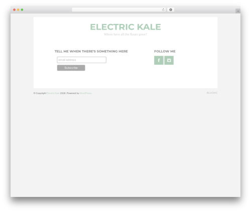 Felice WordPress theme - electrickale.com