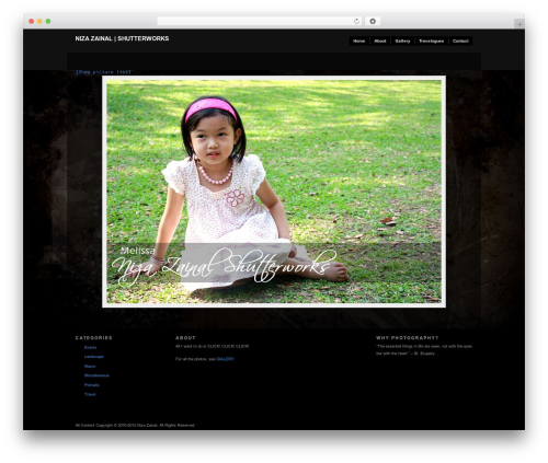 Modularity Lite WordPress theme - simplyniza.com