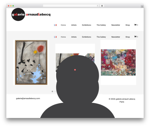 Ottar core WordPress plugin - galeriearnaudlebecq.com