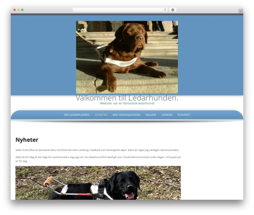 Theme WordPress Preferential - ledarhunden.se