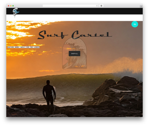 Waveride core WordPress plugin - surfcartel.com