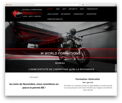 Mihdan index now WordPress plugin - mworldformation.com