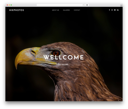 Whizz WordPress theme design - nikphotos.com