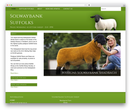 Superfastsearch_pro WordPress plugin - solwaybanksuffolks.co.uk