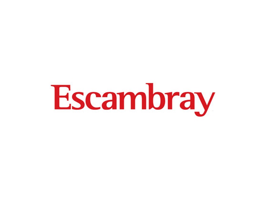 Esc4 WordPress theme