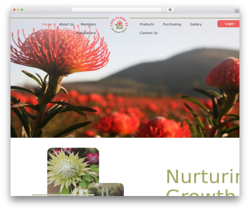 Magical Products Display – Elementor Products Widgets For WooCommerce (magical-products-display) free WordPress plugin - capeflorasa.co.za Magical Products Display – Elementor Products Widgets For WooCommerce (magical-products-display) free WordPress plugin - capeflorasa.co.za