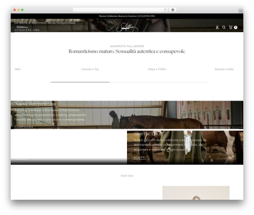 Konte addons WordPress plugin - soallure.it