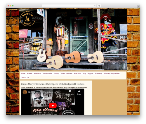 Orange WordPress theme design - blucollarmusic.com