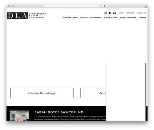 Infomedia dashboard WordPress plugin - birminghamskin.com