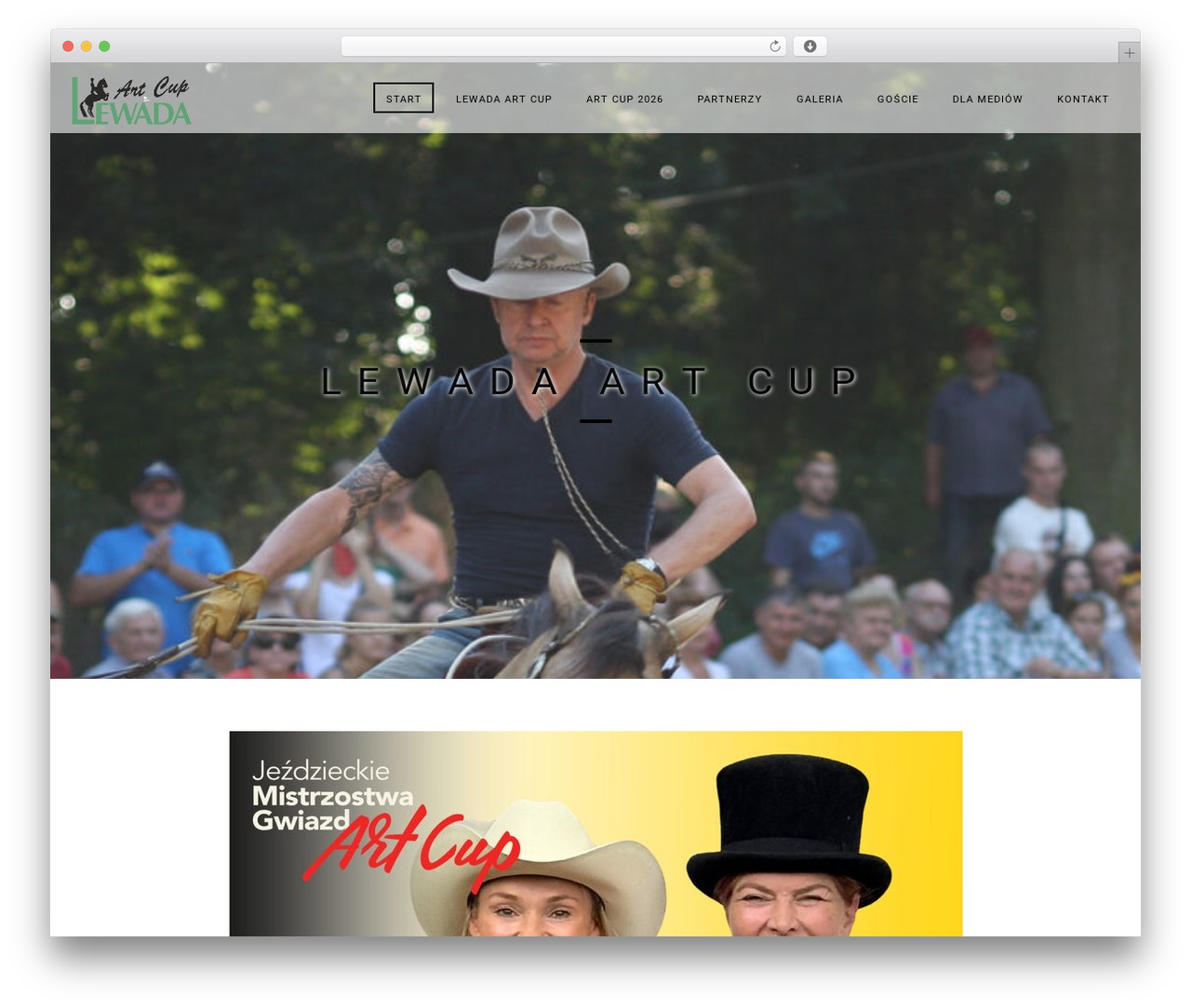 Theme WordPress Rex - artcup.pl