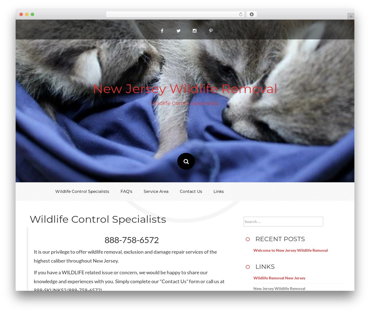 Ving Plus WordPress theme - newjerseywildliferemoval.org