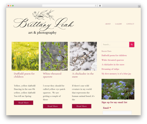 weForms – Easy Drag & Drop Contact Form Builder For WordPress (weforms) free WordPress plugin - brittanyleahart.com