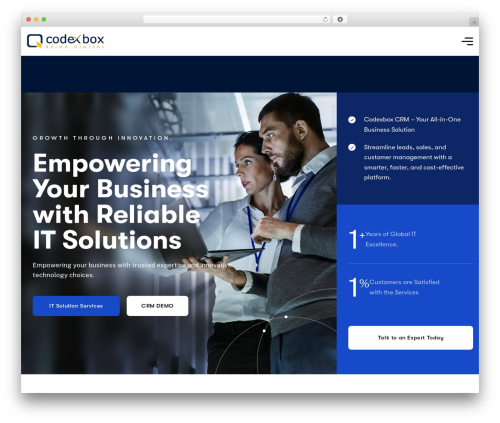 WordPress theme Safebyte - codexbox.com